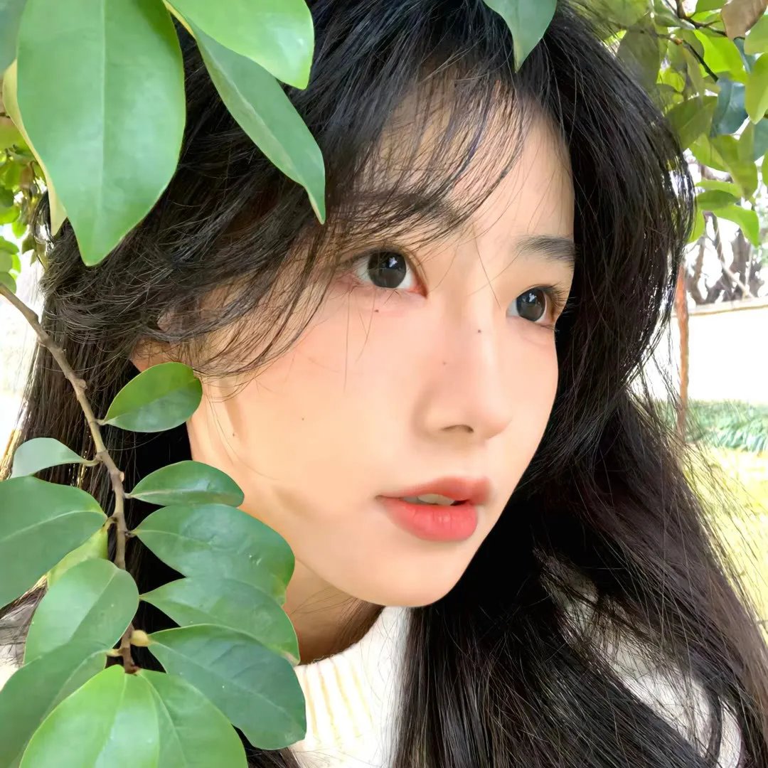 神拳无敌